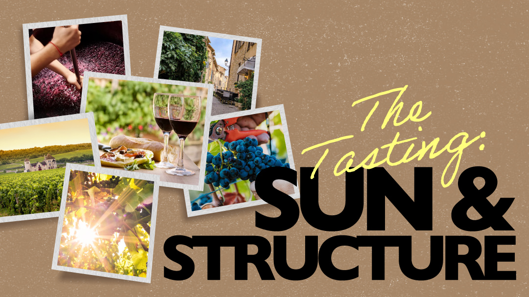 The Tasting: Sun & Structure