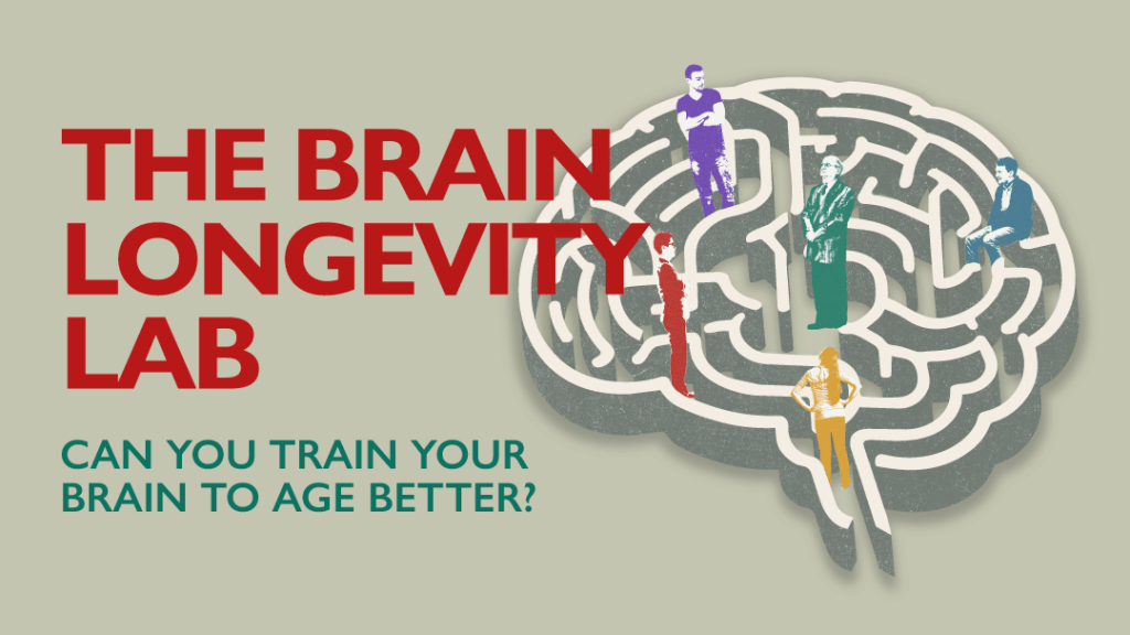 Santiago-brain-mapping-Banner